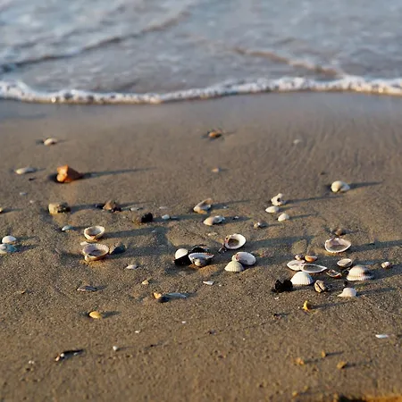 Sunny Terrace Thermal Baths Daire *